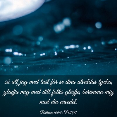 Picture 03 - Psaltaren 106:5 SV1917 - så att jag med lust får se dina utvaldas lycka, - Bible Verse Picture