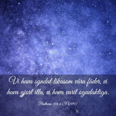 Picture 03 - Psaltaren 106:6 SV1917 - Vi hava syndat likasom våra fäder, vi hava - Bible Verse Picture