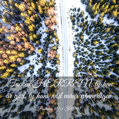 Picture 03 - Psaltaren 107:1 SV1917 - Tacken HERREN, ty han är god, ty hans nåd varar - Bible Verse Picture