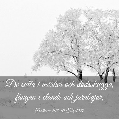 Picture 03 - Psaltaren 107:10 SV1917 - De sutto i mörker och dödsskugga, fångna i - Bible Verse Picture