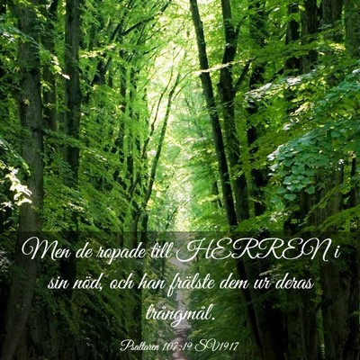 Picture 03 - Psaltaren 107:19 SV1917 - Men de ropade till HERREN i sin nöd, och han - Bible Verse Picture