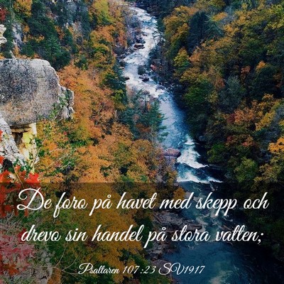 Picture 03 - Psaltaren 107:23 SV1917 - De foro på havet med skepp och drevo sin handel - Bible Verse Picture