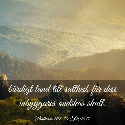 Picture 03 - Psaltaren 107:34 SV1917 - bördigt land till salthed, för dess inbyggares - Bible Verse Picture
