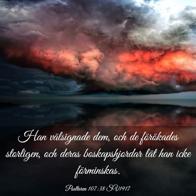 Picture 03 - Psaltaren 107:38 SV1917 - Han välsignade dem, och de förökades - Bible Verse Picture