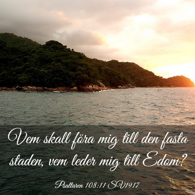 Picture 03 - Psaltaren 108:11 SV1917 - Vem skall föra mig till den fasta staden, vem - Bible Verse Picture
