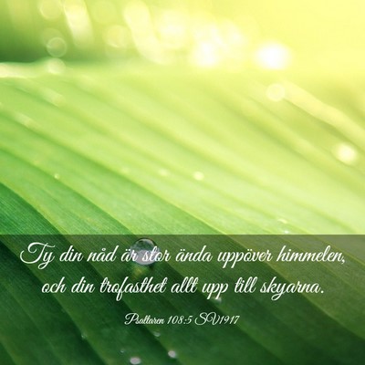 Picture 03 - Psaltaren 108:5 SV1917 - Ty din nåd är stor ända uppöver himmelen, och - Bible Verse Picture