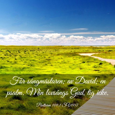 Picture 03 - Psaltaren 109:1 SV1917 - För sångmästaren; av David; en psalm. Min - Bible Verse Picture