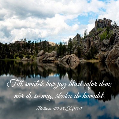 Picture 03 - Psaltaren 109:25 SV1917 - Till smälek har jag blivit inför dem; när de - Bible Verse Picture