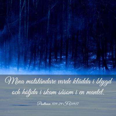 Picture 03 - Psaltaren 109:29 SV1917 - Mina motståndare varde klädda i blygd och - Bible Verse Picture