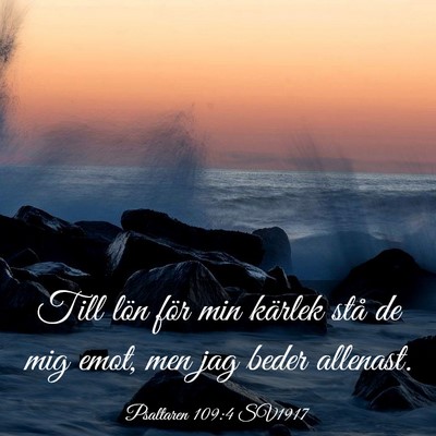 Picture 03 - Psaltaren 109:4 SV1917 - Till lön för min kärlek stå de mig emot, men - Bible Verse Picture