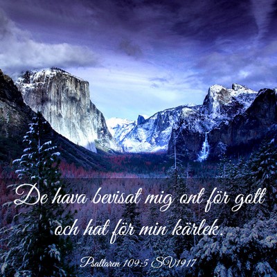 Picture 03 - Psaltaren 109:5 SV1917 - De hava bevisat mig ont för gott och hat för - Bible Verse Picture