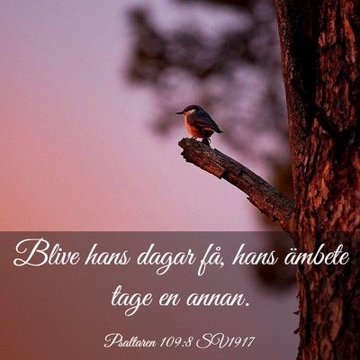 Picture 03 - Psaltaren 109:8 SV1917 - Blive hans dagar få, hans ämbete tage en - Bible Verse Picture