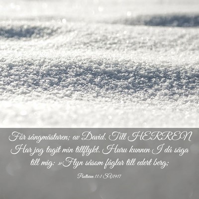 Picture 03 - Psaltaren 11:1 SV1917 - För sångmästaren; av David. Till HERREN Har - Bible Verse Picture