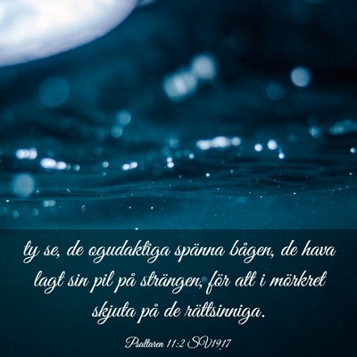 Picture 03 - Psaltaren 11:2 SV1917 - ty se, de ogudaktiga spänna bågen, de hava lagt - Bible Verse Picture