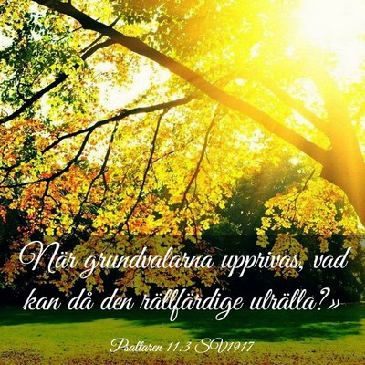 Picture 03 - Psaltaren 11:3 SV1917 - När grundvalarna upprivas, vad kan då den - Bible Verse Picture