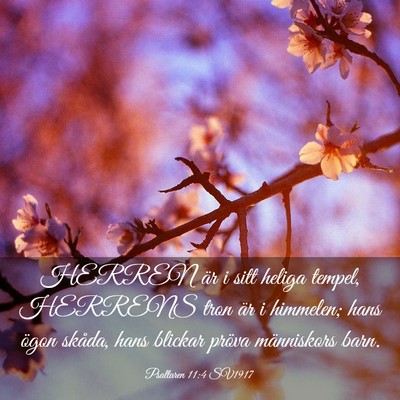 Picture 03 - Psaltaren 11:4 SV1917 - HERREN är i sitt heliga tempel, HERRENS tron är - Bible Verse Picture