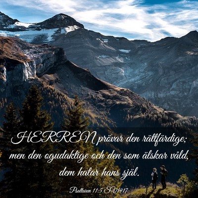 Picture 03 - Psaltaren 11:5 SV1917 - HERREN prövar den rättfärdige; men den - Bible Verse Picture