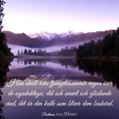Picture 03 - Psaltaren 11:6 SV1917 - Han skall låta ljungeldssnaror regna över de - Bible Verse Picture