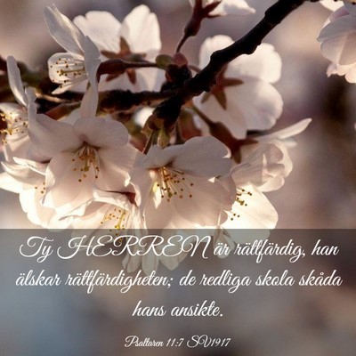 Picture 03 - Psaltaren 11:7 SV1917 - Ty HERREN är rättfärdig, han älskar - Bible Verse Picture