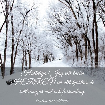 Picture 03 - Psaltaren 111:1 SV1917 - Halleluja! Jag vill tacka HERREN av allt hjärta - Bible Verse Picture