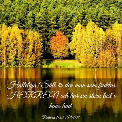 Picture 03 - Psaltaren 112:1 SV1917 - Halleluja! Säll är den man som fruktar HERREN - Bible Verse Picture