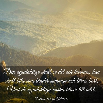 Picture 03 - Psaltaren 112:10 SV1917 - Den ogudaktige skall se det och harmas; han skall - Bible Verse Picture
