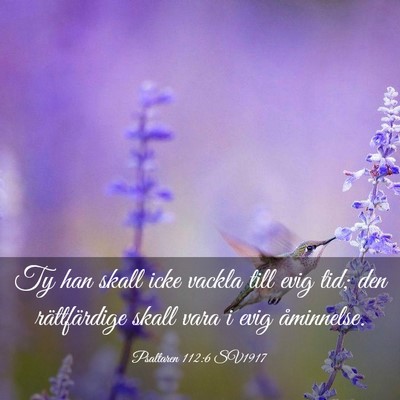 Picture 03 - Psaltaren 112:6 SV1917 - Ty han skall icke vackla till evig tid; den - Bible Verse Picture
