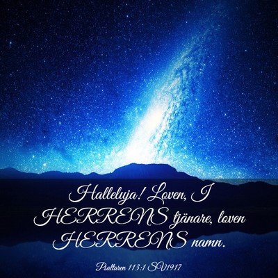 Picture 03 - Psaltaren 113:1 SV1917 - Halleluja! Loven, I HERRENS tjänare, loven - Bible Verse Picture