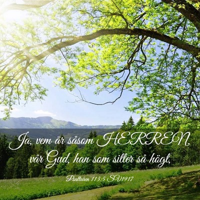 Picture 03 - Psaltaren 113:5 SV1917 - Ja, vem är såsom HERREN, vår Gud, han som - Bible Verse Picture