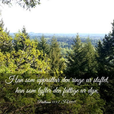 Picture 03 - Psaltaren 113:7 SV1917 - Han som upprättar den ringe ur stoftet, han som - Bible Verse Picture