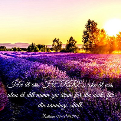 Picture 03 - Psaltaren 115:1 SV1917 - Icke åt oss, HERRE, icke åt oss, utan åt ditt - Bible Verse Picture