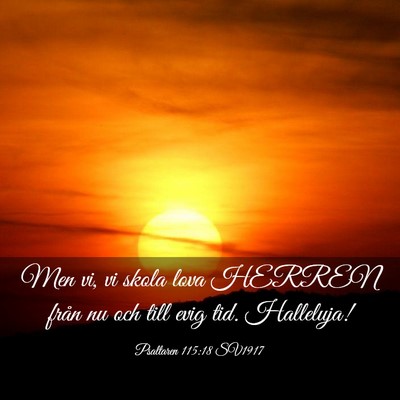 Picture 03 - Psaltaren 115:18 SV1917 - Men vi, vi skola lova HERREN från nu och till - Bible Verse Picture