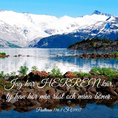 Picture 03 - Psaltaren 116:1 SV1917 - Jag har HERREN kär, ty han hör min röst och - Bible Verse Picture