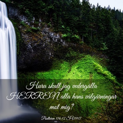 Picture 03 - Psaltaren 116:12 SV1917 - Huru skall jag vedergälla HERREN alla hans - Bible Verse Picture