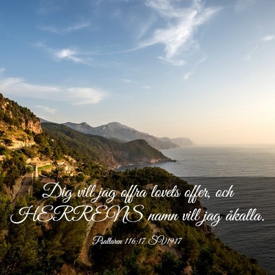 Picture 03 - Psaltaren 116:17 SV1917 - Dig vill jag offra lovets offer, och HERRENS namn - Bible Verse Picture
