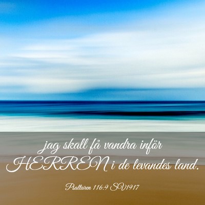 Picture 03 - Psaltaren 116:9 SV1917 - jag skall få vandra inför HERREN i de levandes - Bible Verse Picture