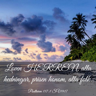 Picture 03 - Psaltaren 117:1 SV1917 - Loven HERREN, alla hedningar, prisen honom, alla - Bible Verse Picture