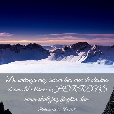 Picture 03 - Psaltaren 118:12 SV1917 - De omringa mig såsom bin, men de slockna såsom - Bible Verse Picture