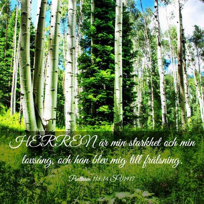 Picture 03 - Psaltaren 118:14 SV1917 - HERREN är min starkhet och min lovsång, och han - Bible Verse Picture