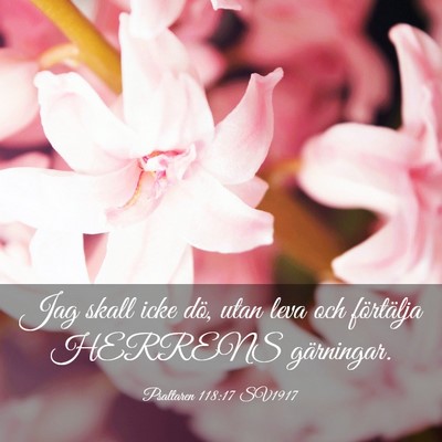 Picture 03 - Psaltaren 118:17 SV1917 - Jag skall icke dö, utan leva och förtälja - Bible Verse Picture