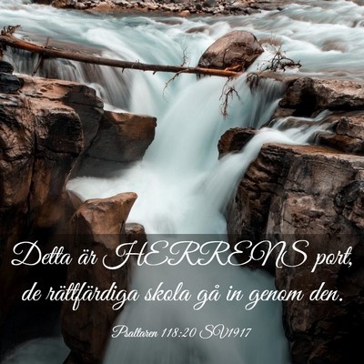 Picture 03 - Psaltaren 118:20 SV1917 - Detta är HERRENS port, de rättfärdiga skola - Bible Verse Picture