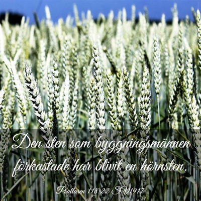 Picture 03 - Psaltaren 118:22 SV1917 - Den sten som byggningsmännen förkastade har - Bible Verse Picture