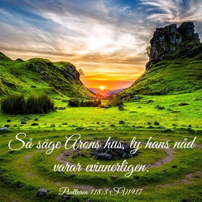 Picture 03 - Psaltaren 118:3 SV1917 - Så säge Arons hus, ty hans nåd varar - Bible Verse Picture