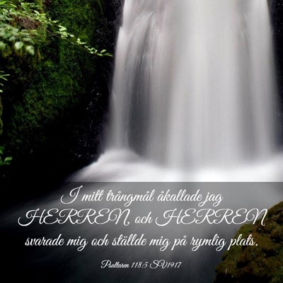 Picture 03 - Psaltaren 118:5 SV1917 - I mitt trångmål åkallade jag HERREN, och - Bible Verse Picture