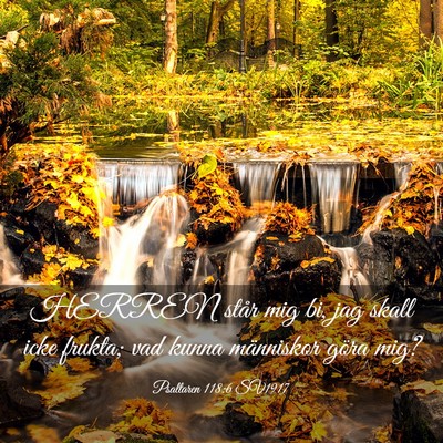 Picture 03 - Psaltaren 118:6 SV1917 - HERREN står mig bi, jag skall icke frukta; vad - Bible Verse Picture