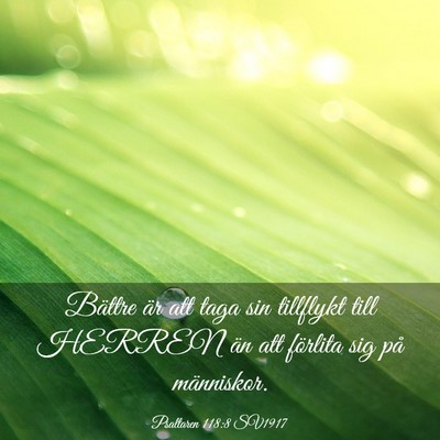 Picture 03 - Psaltaren 118:8 SV1917 - Bättre är att taga sin tillflykt till HERREN - Bible Verse Picture