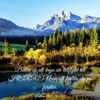 Picture 03 - Psaltaren 118:9 SV1917 - Bättre är att taga sin tillflykt till HERREN - Bible Verse Picture