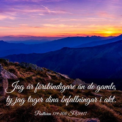 Picture 03 - Psaltaren 119:100 SV1917 - Jag är förståndigare än de gamle, ty jag - Bible Verse Picture