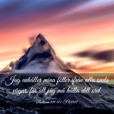 Picture 03 - Psaltaren 119:101 SV1917 - Jag avhåller mina fötter ifrån alla onda - Bible Verse Picture