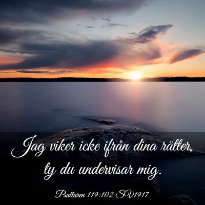 Picture 03 - Psaltaren 119:102 SV1917 - Jag viker icke ifrån dina rätter, ty du - Bible Verse Picture